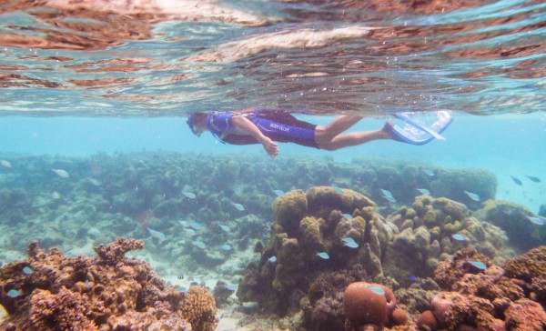 Snorkeling in the shallows